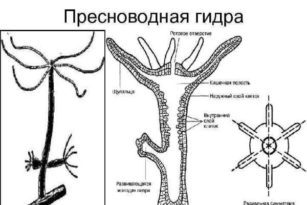 Whitenet ссылки