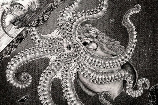 Kraken whitenet ссылка тор
