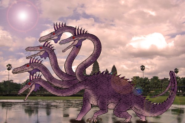 Kraken dark net