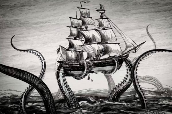 Kraken маркет whitenet только через tor скачать
