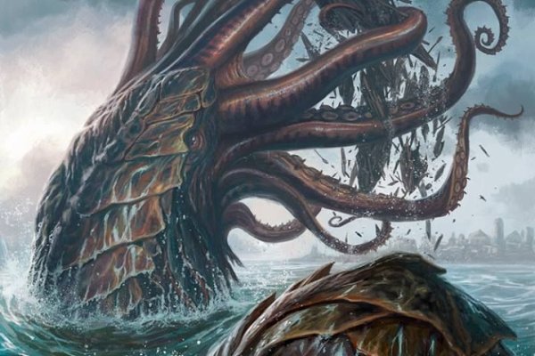 Kraken whitenet store