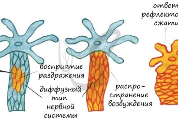Зеркало кракен дарк