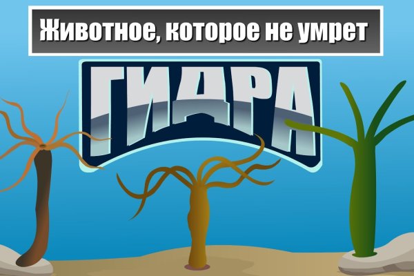 Оригинальный сайт кракен