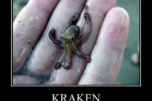 Кракен настоящий сайт